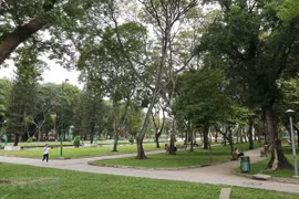 Ảnh minh họa. (Nguồn: Thanh Vũ/TTXVN) 