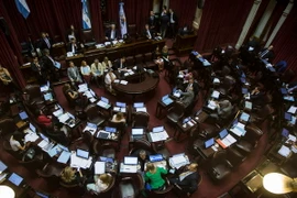 Toàn cảnh phiên họp của Thượng viện Argentina phê chuẩn thỏa thuận thanh toán nợ của Chính phủ ngày 30/3. (Nguồn: THX/TTXVN)