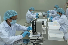 (Ảnh minh họa: Hoàng Hải/TTXVN)