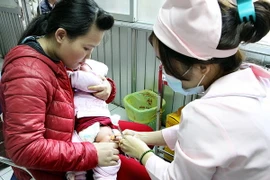 (Ảnh minh họa: Dương Ngọc/TTXVN)