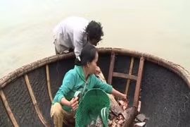 Người dân rất lo lắng khi cá chết bất thường không rõ nguyên nhân trôi dạt vào vùng biển Quảng Trị. (Ảnh: Trần Tĩnh/TTXVN)