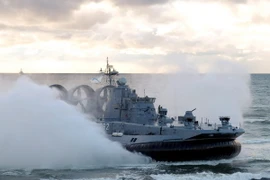 Tàu đổ bộ của hải quân Nga. (Nguồn: AFP/TTXVN)