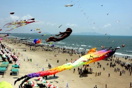 Festival Diều quốc tế trên bãi biển Vũng Tàu. (Ảnh: Tứ Hải/TTXVN)