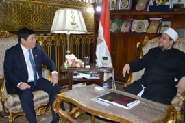 Phó Trưởng Ban Tôn giáo Chính phủ Bùi Thanh Hà tại cuộc làm việc với Bộ trưởng Bộ Truyền giáo Ai Cập Muhammad Mukhtar Jumu'ah. (Ảnh: Nguyễn Trường/TTXVN)