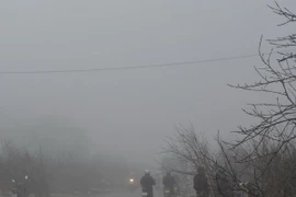 (Ảnh minh họa: Công Luật/TTXVN)