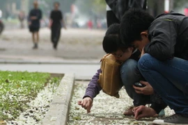 (Ảnh minh họa: Minh Quyết/TTXVN)