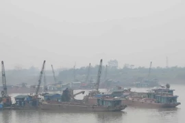 Đoàn tàu khai thác cát dọc theo dòng sông Lô, đoạn qua xã Cao Phong, Đức Bác, huyện Sông Lô, tỉnh Vĩnh Phúc. (Ảnh: Nguyễn Trọng Lịch/TTXVN)