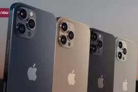 iPhone 12 chính hãng tại Việt Nam sẽ có giá từ 21,99 triệu đồng