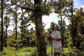 (Ảnh: Minh Sơn/Vietnam+)