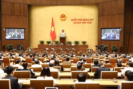Đại biểu Quốc hội tỉnh Thái Bình Vũ Tiến Lộc phát biểu. (Ảnh: Văn Điệp/ TTXVN)