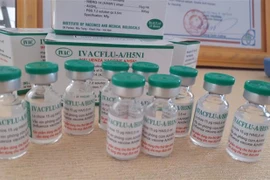 Vắcxin cúm mùa IVACFLU. (Ảnh: Phan Sáu/TTXVN)