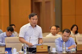 Thứ trưởng Bộ Kế hoạch và Đầu tư Vũ Đại Thắng. (Ảnh: Phương Hoa/TTXVN)