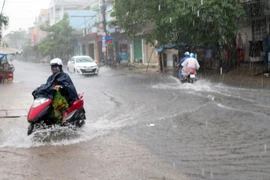 (Ảnh minh họa: Xuân Triệu/TTXVN)