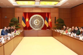 Phó Chủ tịch Thường trực Quốc hội Tòng Thị Phóng hội đàm với Phó Chủ tịch Quốc hội nước Cộng hòa Armenia. (Ảnh: Doãn Tấn/TTXVN)