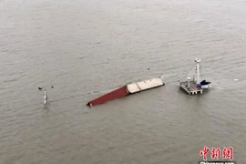 (Nguồn: Chinanews.com)