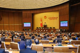 (Ảnh minh họa: Phương Hoa/ TTXVN)