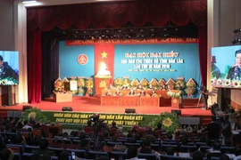 Quang cảnh Đại hội. (Ảnh: Tuấn Anh/TTXVN)