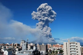 Cột tro bụi phun lên từ núi lửa Sakurajima tại Kagoshima, Nhật Bản. (Nguồn: AFP/TTXVN)