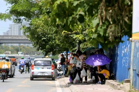 Ảnh chỉ có tính minh họa. (Ảnh: Thành Đạt/TTXVN)