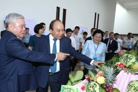 Thủ tướng Nguyễn Xuân Phúc thăm các gian hàng trưng bày sản phẩm tiêu biểu của tỉnh Sóc Trăng. (Ảnh: Thống Nhất/TTXVN)