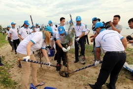 Các đại biểu tham gia trồng cây xanh trên bãi biển tại chương trình. (Ảnh: Trần Lê Lâm/TTXVN)