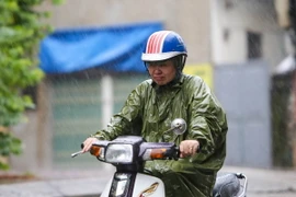 Ảnh chỉ có tính minh họa. (Ảnh: Lê Minh Sơn/Vietnam+)