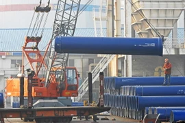 Vận chuyển thép cuộn tại Liên Vận cảng, tỉnh Giang Tô, miền đông Trung Quốc. (Nguồn: AFP/TTXVN)