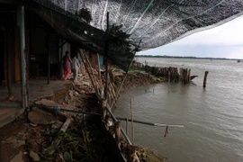 Ảnh chỉ có tính minh họa. (Ảnh: Duy Khương/TTXVN)