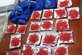 Ảnh chỉ có tính minh họa. (Ảnh: Việt Hùng/TTXVN)