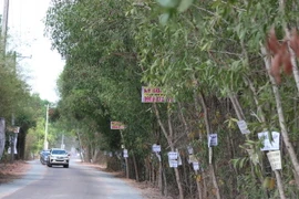 Nhan nhan biển rao bán đất nền tại các địa bàn vùng ven Thành phố Hồ Chí Minh. (Ảnh: Trần Xuân Tình/TTXVN)