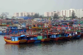 Tàu thuyền các tỉnh, thành phố về neo đậu tránh áp thấp nhiệt đới tại Âu thuyền Thọ Quang (Đà Nẵng). (Ảnh: Trần Lê Lâm/TTXVN)