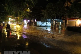 Ảnh minh họa. (Nguồn: TTXVN)