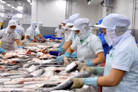 Hội nhập kinh tế quốc tế đòi hỏi phải sửa đổi pháp luật lao động. (Ảnh minh họa: TTXVN)