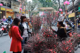 (Ảnh minh hoạ: Minh Sơn/Vietnam+)