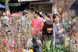 (Ảnh minh họa: TTXVN)