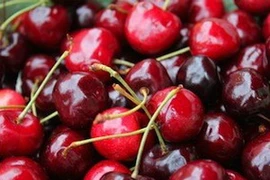 Ảnh minh họa. (Nguồn: CBC)