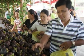 (Ảnh minh họa: Quang Nhựt/TTXVN)