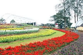 Festival Hoa Đà Lạt 2012. (Ảnh: Phương Vy/TTXVN)