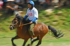 Giải đua ngựa Bắc Hà mở rộng năm 2010. (Ảnh: Kim Phương/TTXVN)