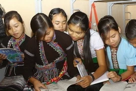 Ảnh minh họa. (Nguồn: Bích Ngọc/TTXVN)