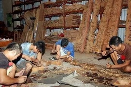 Sản xuất đồ gỗ mỹ nghệ cao cấp ở xã Vạn Điểm, Thường Tín, Hà Nội. (Ảnh: Đình Huệ/TTXVN)