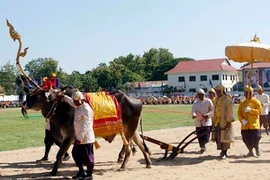 Quốc vương Campuchia Norodom Sihamoni chủ trì lễ hội xuống đồng. (Ảnh: Xuân Khu/Vietnam+)