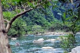 Điểm du lịch sinh thái Suối nước Moọc thuộc Vườn quốc gia Phong Nha-Kẻ Bàng. (Ảnh: Minh Đức/TTXVN)