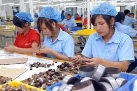 (Ảnh minh họa: Danh Lam/TTXVN)