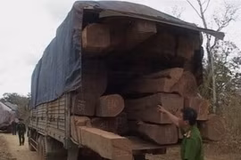 Ảnh minh họa. (Ảnh: V.Dũng/Vietnam+)