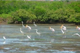 Ra mắt Ban Quản lý Khu dự trữ sinh quyển sông Hồng 