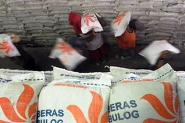 Ảnh minh họa. (Nguồn: citraindonesia.com)