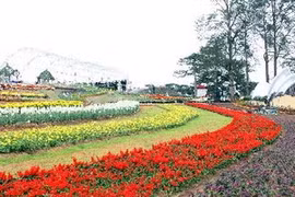 Festival Hoa Đà Lạt 2012. (Ảnh: Phương Vy/TTXVN)