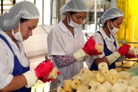 Chế biến dứa xuất khẩu. Ảnh minh họa. (Ảnh: Huy Hùng/TTXVN)