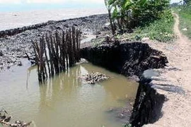 Ảnh minh họa. (Nguồn: TTXVN)